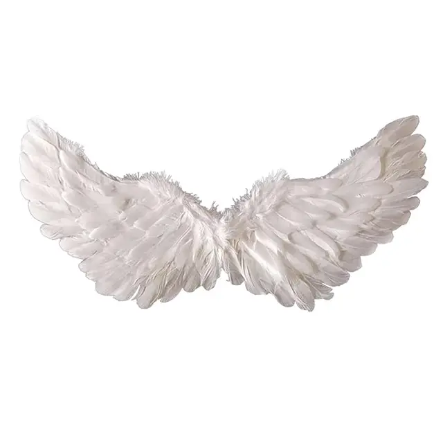 Angel Wings – White Adult