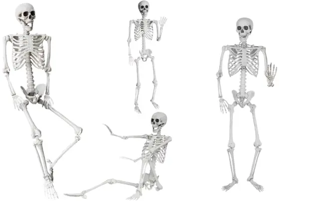 Hanging Skeleton – 5ft Life Size